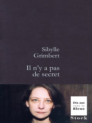 cover image of Il n'y a pas de secret